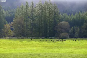 3380 N Fork Smith River Rd, Reedsport, OR 97467 - Photo 38