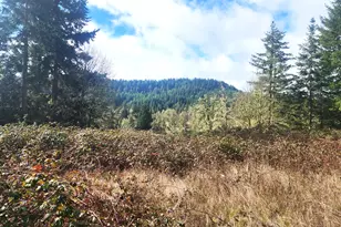 85106 Territorial Hwy, Eugene, OR 97402 - Photo 22