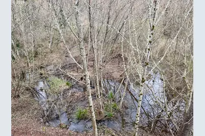 37071 Dubarko Rd, Sandy, OR 97055 - Photo 34