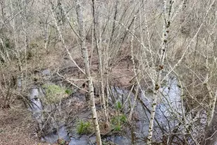 37071 Dubarko Rd, Sandy, OR 97055 - Photo 34