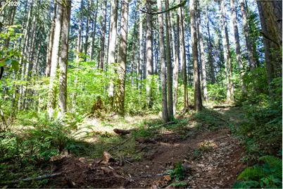 24331 Bolton Hill Rd, Veneta, OR 97487 - Photo 44