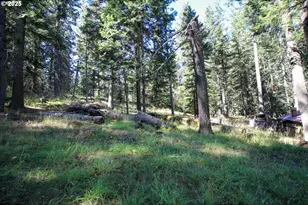 Beske Ln, Joseph, OR 97846 - Photo 1