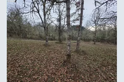 339 Justa Ln, Sutherlin, OR 97479 - Photo 20