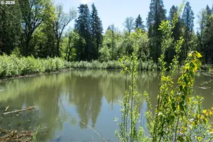 512 SW 31st St, Battle Ground, WA 98604 - Photo 16