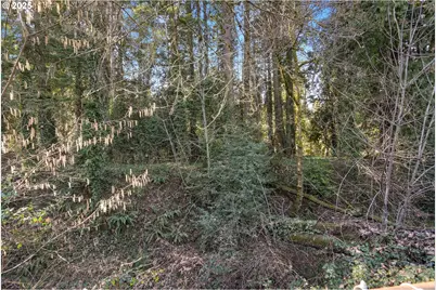 18649 Old River Dr, West Linn, OR 97068 - Photo 38