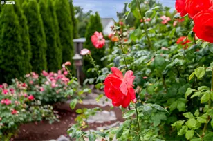 16106 SW Refectory Pl, Portland, OR 97224 - Photo 40