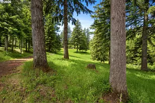 61 Bear Prairie Rd, Washougal, WA 98671 - Photo 38