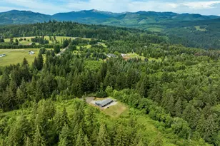 61 Bear Prairie Rd, Washougal, WA 98671 - Photo 46