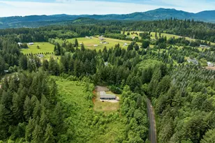 61 Bear Prairie Rd, Washougal, WA 98671 - Photo 42