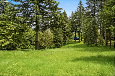 61 Bear Prairie Rd, Washougal, WA 98671 - Photo 42