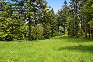 61 Bear Prairie Rd, Washougal, WA 98671 - Photo 42