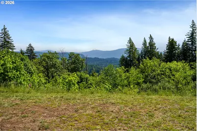 61 Bear Prairie Rd, Washougal, WA 98671 - Photo 38
