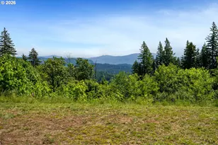 61 Bear Prairie Rd, Washougal, WA 98671 - Photo 38
