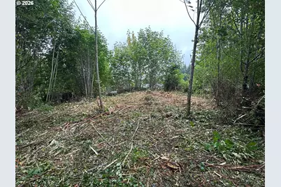 Bear Rd, Elsie, OR 97138 - Photo 2