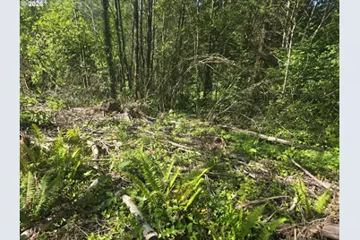 Bear Rd, Seaside, OR 97138 - Photo 2