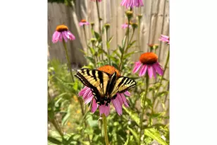 369 S 10th St, Coos Bay, OR 97420 - Photo 34