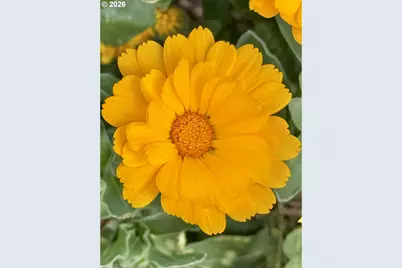 369 S 10th St, Coos Bay, OR 97420 - Photo 38