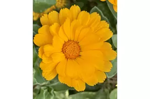 369 S 10th St, Coos Bay, OR 97420 - Photo 38