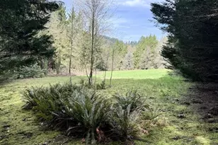 814 NW Pleasant View Dr, La Center, WA 98629 - Photo 10
