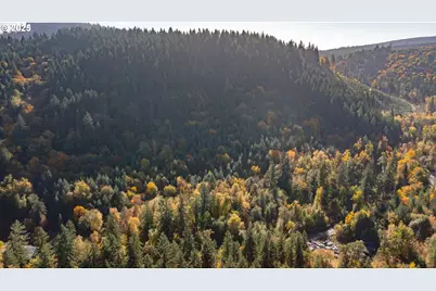 17925 Brown Rd, Dallas, OR 97338 - Photo 6