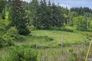 8955 Scotts Valley Rd, Yoncalla, OR 97499 - Photo 10