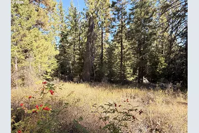 0 Hwy 395, John Day, OR 97845 - Photo 34