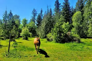 632 Meier Rd, Winlock, WA 98596 - Photo 10