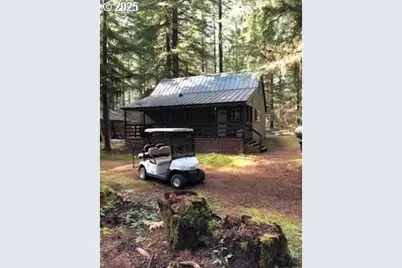 Cabin 157 Northwoods, Cougar, WA 98616 - Photo 2