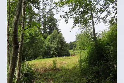 Coleman Rd, Mossyrock, WA 98564 - Photo 1