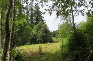 Coleman Rd, Mossyrock, WA 98564 - Photo 1