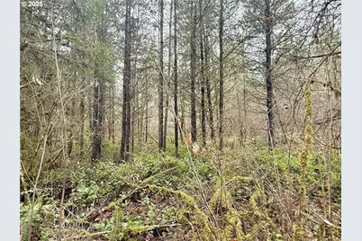 298 Boone Rd, Toledo, WA 98591 - Photo 32