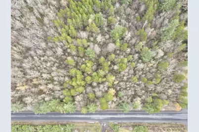 298 Boone Rd, Toledo, WA 98591 - Photo 28