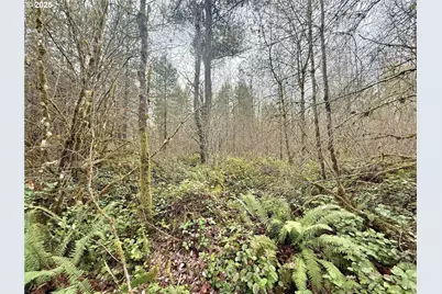 298 Boone Rd, Toledo, WA 98591 - Photo 22