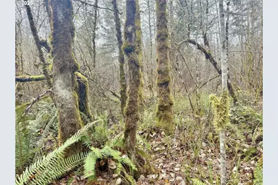 298 Boone Rd, Toledo, WA 98591 - Photo 34