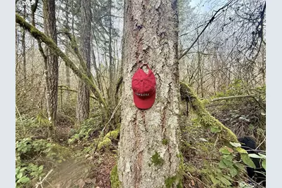 298 Boone Rd, Toledo, WA 98591 - Photo 12