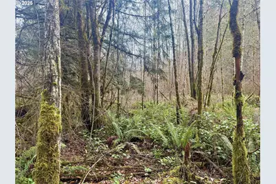 298 Boone Rd, Toledo, WA 98591 - Photo 4