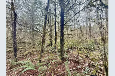 298 Boone Rd, Toledo, WA 98591 - Photo 36