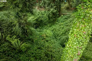 1005 N 22nd Ave, Kelso, WA 98626 - Photo 40