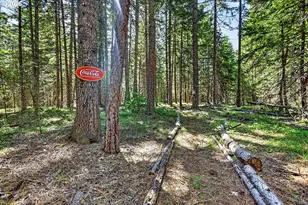 36 Shippey Cutoff Rd, Lyle, WA 98635 - Photo 38
