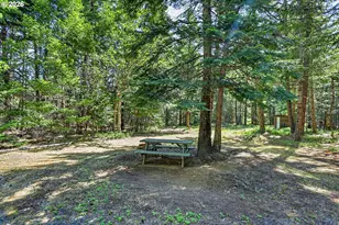 36 Shippey Cutoff Rd, Lyle, WA 98635 - Photo 24