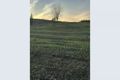 224 Suncrest Dr #2, Castle Rock, WA 98611 - Photo 4