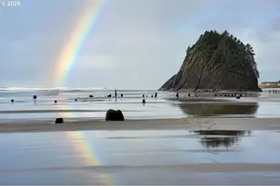 49855 Seasand Rd, Neskowin, OR 97149 - Photo 12