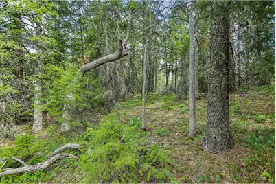 Nka N Lake Dr #24, Goldendale, WA 98620 - Photo 2