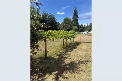 181 Vada St, Carson, WA 98610 - Photo 28