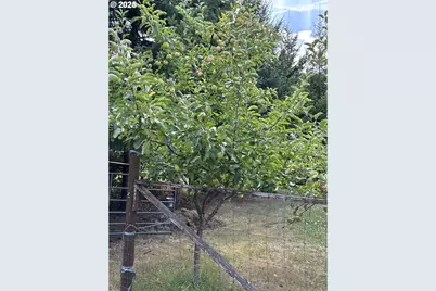 181 Vada St, Carson, WA 98610 - Photo 26