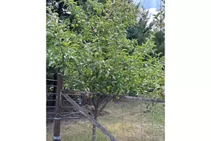 181 Vada St, Carson, WA 98610 - Photo 26