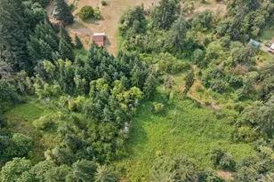 19955 SE Tillstrom Rd, Damascus, OR 97089 - Photo 34