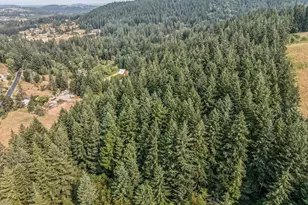 19955 SE Tillstrom Rd, Damascus, OR 97089 - Photo 6