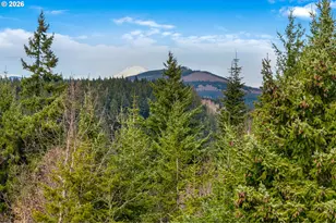 5195 York Hill Dr, Hood River, OR 97031 - Photo 14