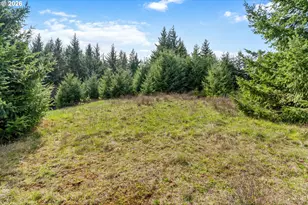 5195 York Hill Dr, Hood River, OR 97031 - Photo 16